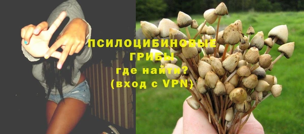 spice Алексин