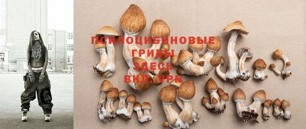 Альфа ПВП Бутурлиновка