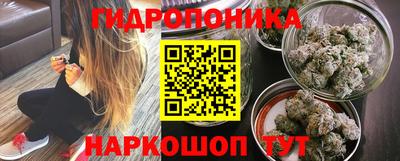 a pvp Абакан