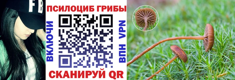 blacksprut зеркало  Балабаново  Псилоцибиновые грибы Magic Shrooms 