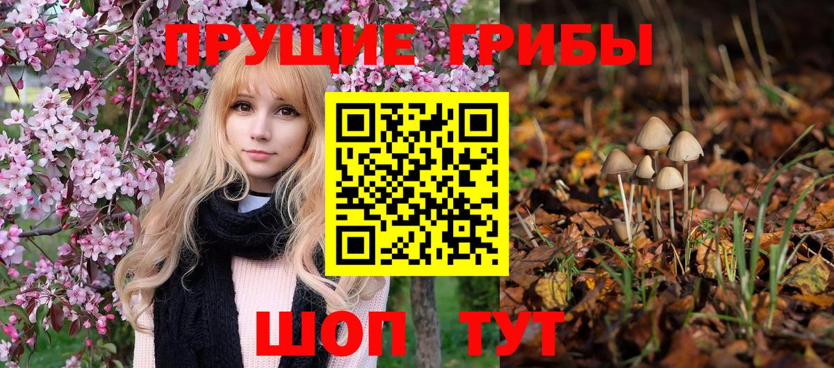 Псилоцибиновые грибы ЛСД  Галлюциногенные грибы прущие грибы  Вход с VPN  Балабаново 