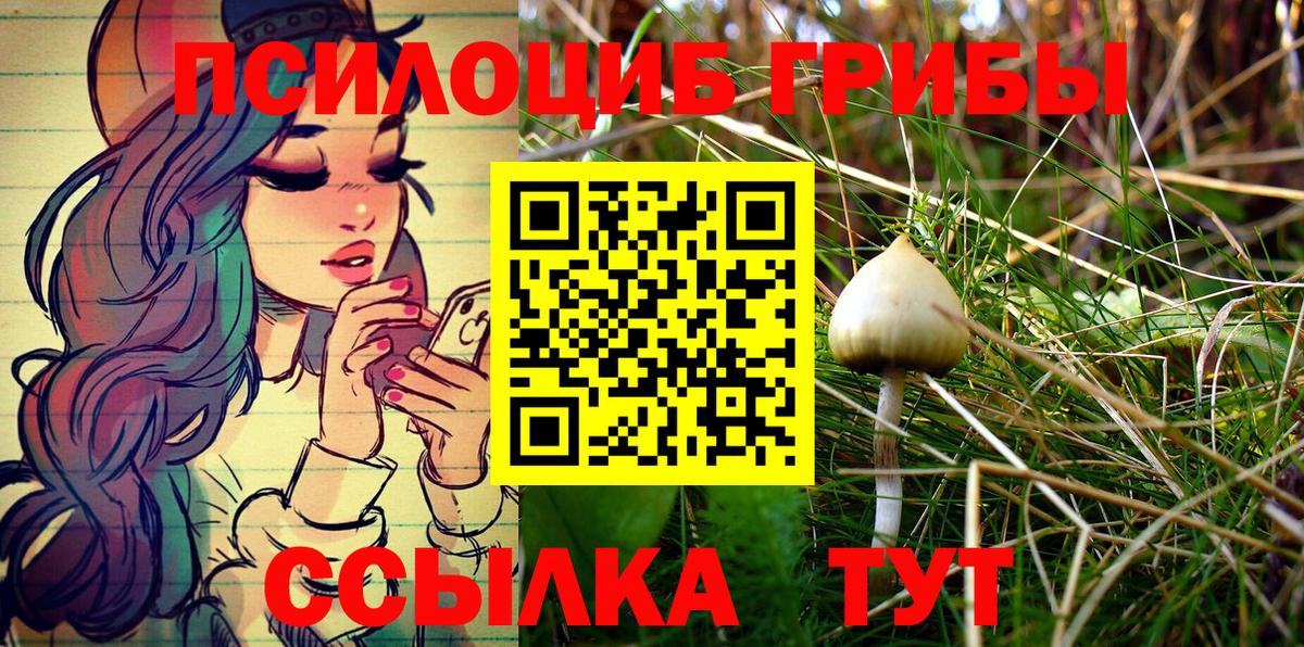 Псилоцибиновые грибы MAGIC MUSHROOMS Балабаново