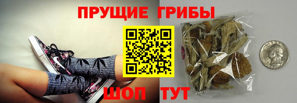 Галлюциногенные грибы GOLDEN TEACHER  Псилоцибиновые грибы Psilocybine cubensis  Балабаново  Вход с VPN 